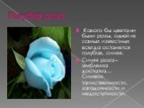 Голубая роза. Какого бы цвета ни были розы, одной из самых известных всегда останется голубая, синяя. Синяя роза – эмблема достатка... Символ таинственности, загадочности и недоступности.