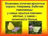 Возможно отличие яркостью окраса. Например, бабочки-лимонницы: у самца крылья лимонно-жёлтые, у самки – зеленовато-белые.