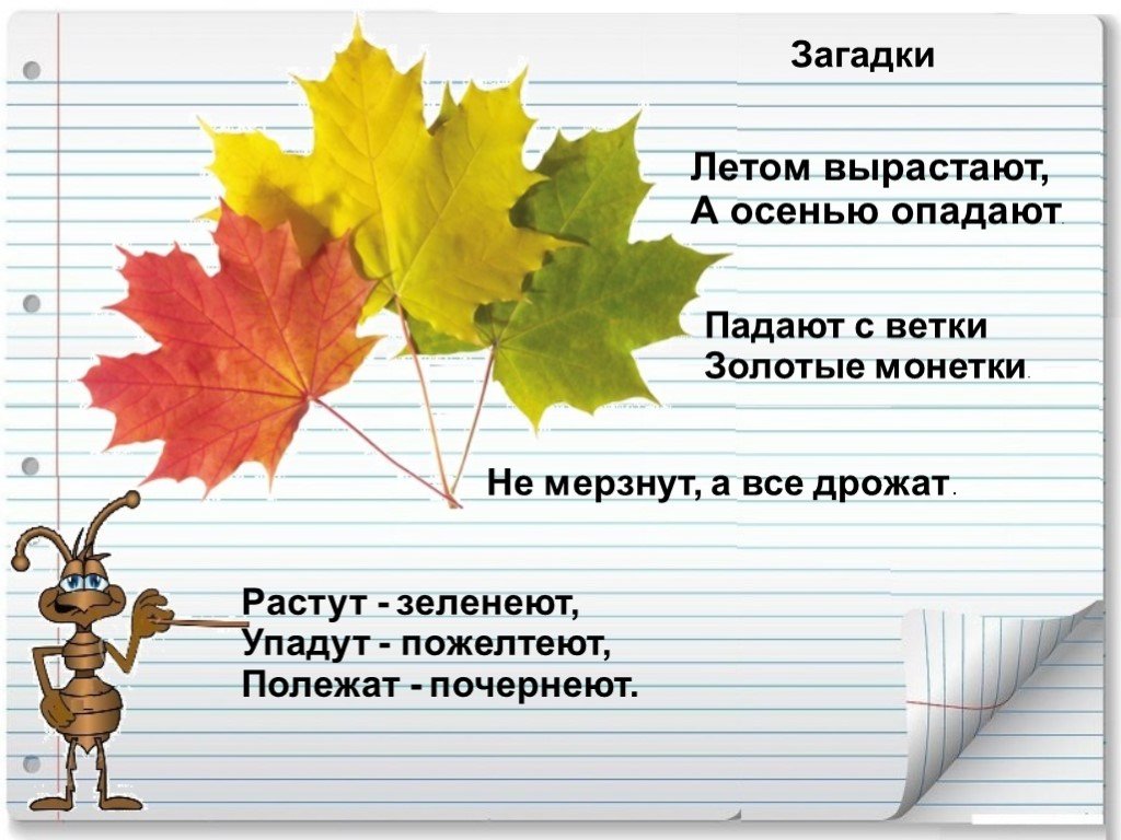 Лист для первого класса. Загадки про осень. Загадки про осенние листья. Загадки про листья. Загадки на осеннюю тему.