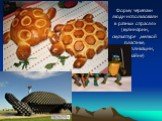 Форму черепахи люди использовали в разных отраслях (кулинарии, скульптуре ,мелкой пластике, мультипликации, дизайне)