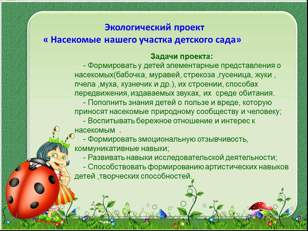 Тема в саду насекомые. Проект про насекомых в детском саду. Детям о насекомых в детском саду. Темы проектов насекомых в ДОУ. Проект мир насекомых в детском саду.