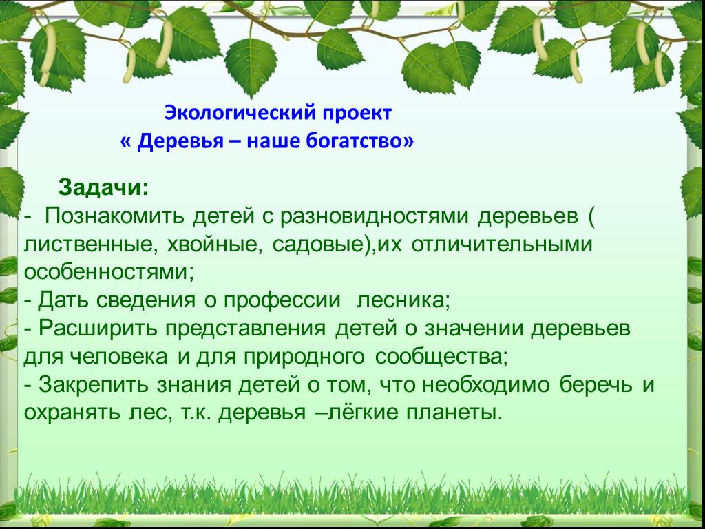 Проекты по экологии для детей. Профессия лесничий для детей презентация. Сообщение о профессии Лесник. Профессия Лесник для детей. Профессия Лесник картинки.