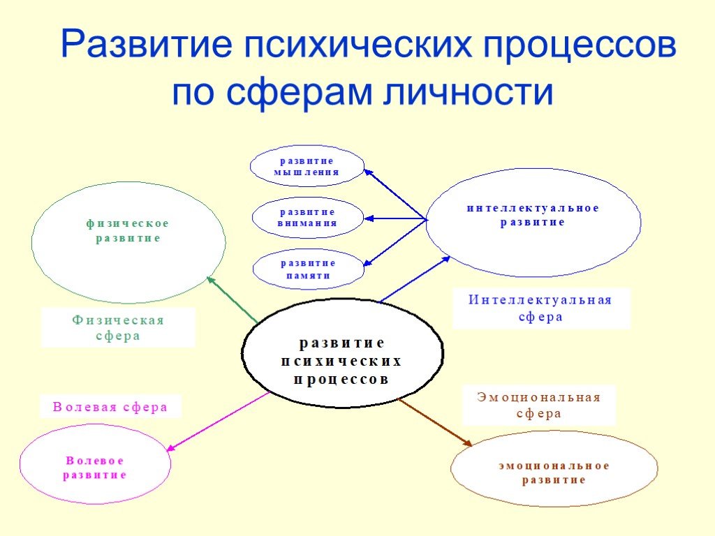 Сферы развития ребенка. Сферы развития личности. Сферы развития личности ребенка. Сферы психики дошкольника.