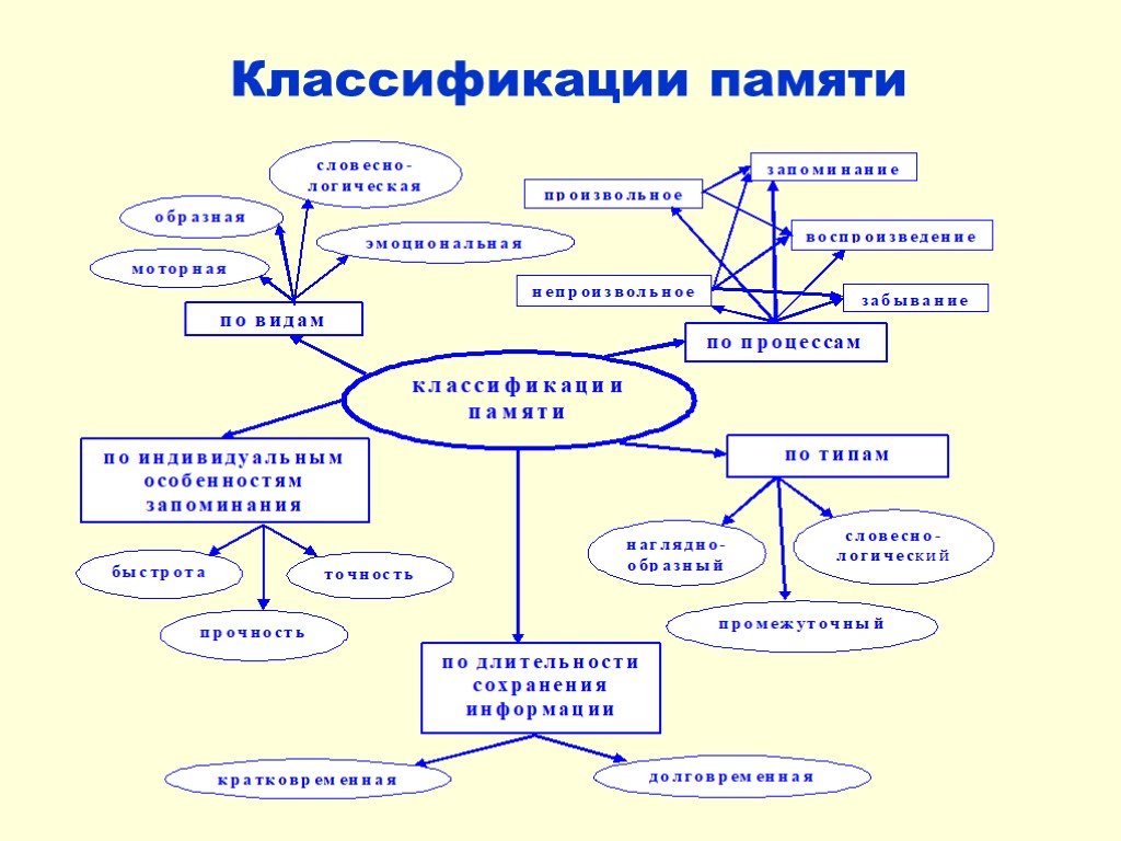 Классификации процессов памяти. Классификация памяти в психологии. Классификация видов памяти в психологии. Схема по видам памяти. Классификация видов памяти схема.