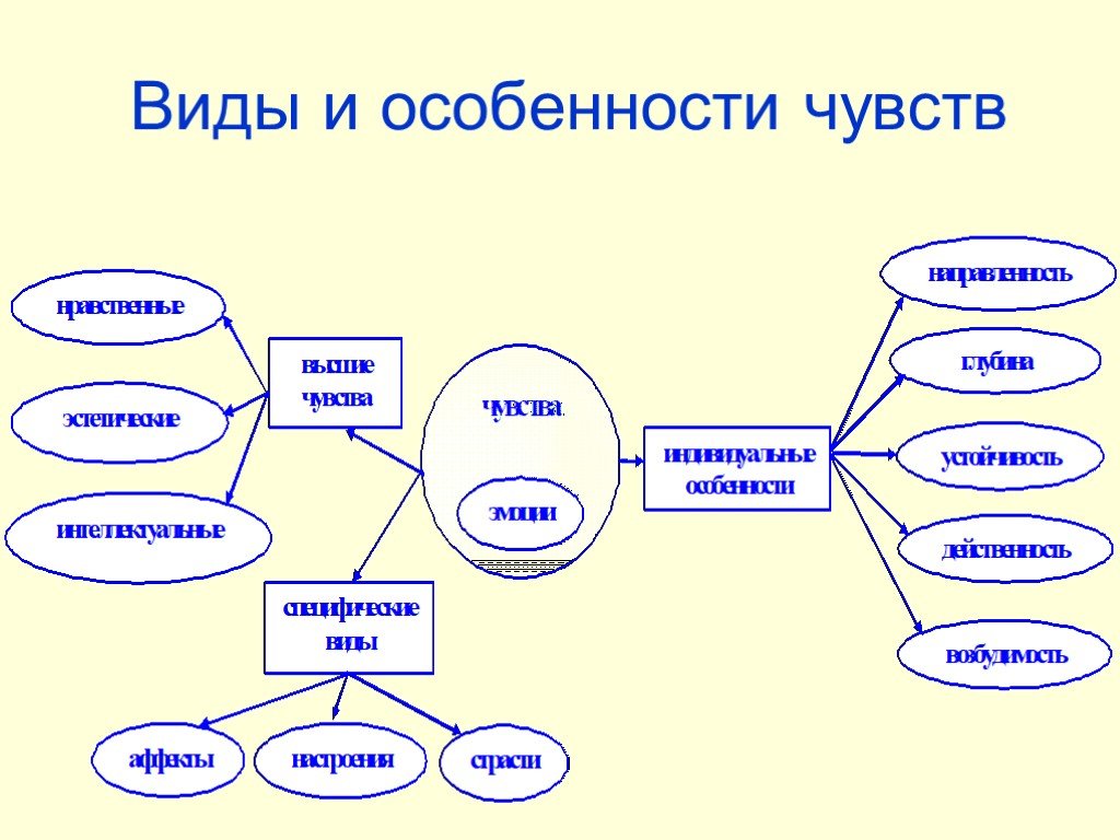 Высшие ощущения. Виды чувств. Виды и особенности чувств. Виды чувств схема. Чувства виды чувств.