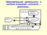 Образовательная деятельность в системе отношений «онтогенез – филогенез».