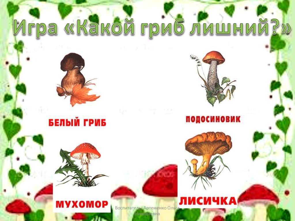 Грибы растения животные что лишнее. Какой это гриб игра. Презентация про грибы для дошкольников 4 лет. Грибы с глазами для презентации. Отгадай грибы.