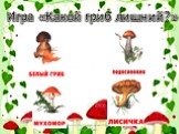 Игра «Какой гриб лишний?»