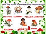 Летом бывает не только много ягод, но и грибов. Какие грибы вы знаете?
