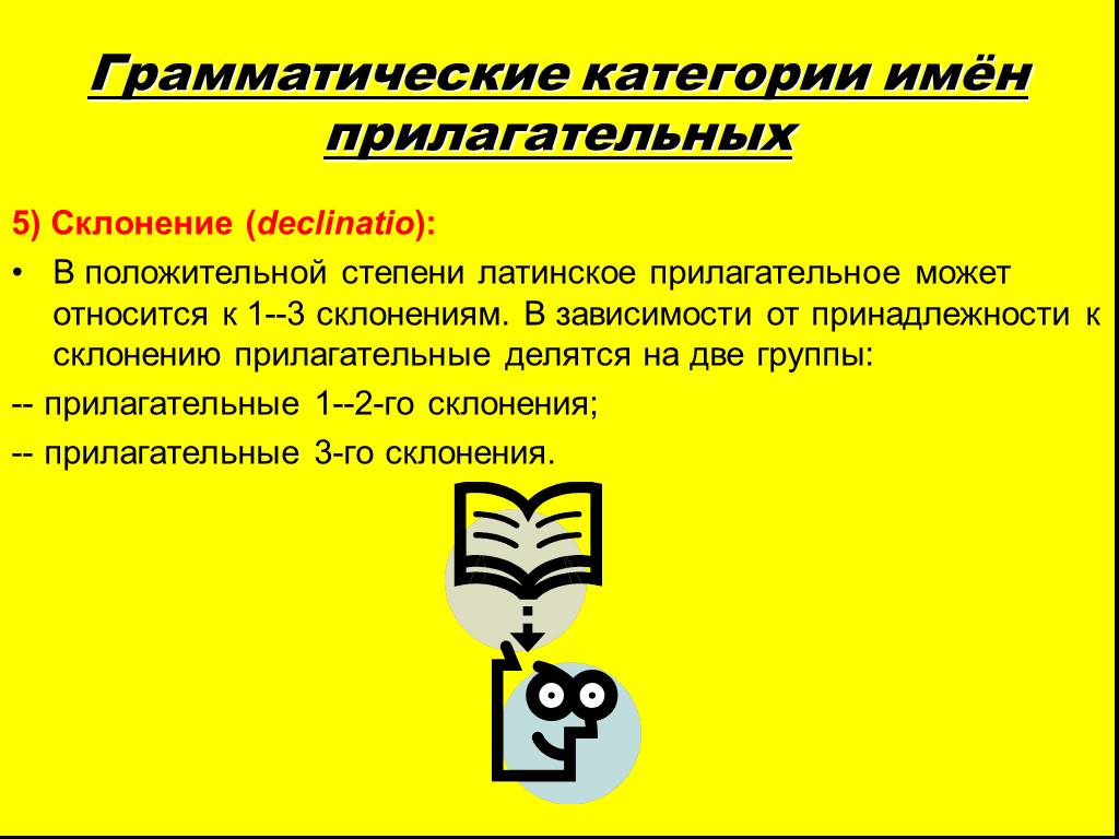 Прилагательные в латинском языке. Категории имен прилагательных. Грамматические категории имен прилагательных. Грамматические категории имени прилагательного в латинском языке. Грамматические категории прилагательного в русском языке.