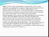 Варка. Колбасы, кроме сырокопченых и сыровяленых, варят с целью доведения их до кулинарной готовности. Варка изделий осуществляется в воде или паровоздушной смеси. Во время прогревания мяса до температуры 71±1°С практически все белки денатурируют и коагулируют. При этом получается вторичная структур