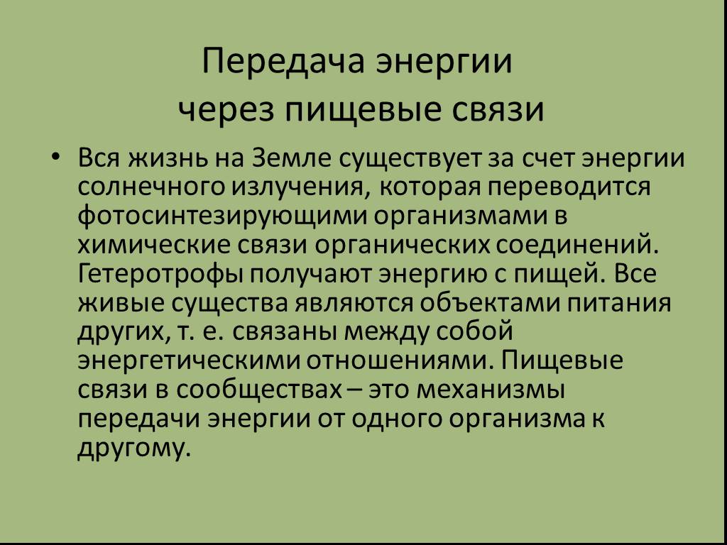 Презентация по теме цепи питания поток энергии 7 класс