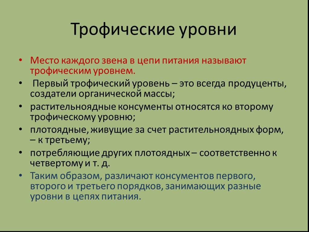 Трофические уровни. Трофические уровни пищевой цепи. Первый трофический уровень. Трофические уровни экосистемы.