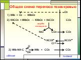 Общая схема переноса газов кровью. плазма лёгкие 1) ННb + O2 → HHbO2. 2) KНCO3 + HHbO2 → KHbO2 + Н2CO3. O2 CO2 H2O HCO3 Cl 3) HHb-NH-C HHb + CO2 O OH карбо-ангидраза