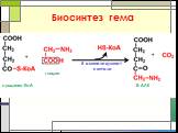 Биосинтез гема +. δ-аминолевулинат-синтаза. сукцинил-КоА δ-АЛК. глицин