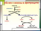 Обмен глюкозы в эритроците. глюкоза глюкозо-6-фосфат. гликолиз пентозофосфатный путь. АТФ АДФ глюкокиназа 2 АТФ НАДФ+ НАДФН+Н+ Нb Fe2+ Hb Fe3+. гемоглобин метгемоглобин