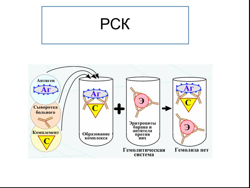 Рск расшифровка. Реакция связывания комплемента схема. Реакция связывания комплемента (РСК ) рисунок. Реакция связывания комплемента РСК микробиология. Схема реакции связывания комплемента (РСК).
