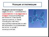 Реакция агглютинации. Реакция агглютинации (agglutinacio - склеивание) - склеивание и выпадение в осадок корпускулярных антигенов: бактерий, эритроцитов, а также латексных частиц с адсорбированными на них антигенами под влиянием антител в среде с электролитом.