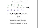 a-метилмасляная кислота 2-метилбутановая кислота. Номенклатура карбоновых кислот