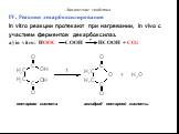 IV. Реакции декарбоксилирования In vitro реакции протекают при нагревании, in vivo с участием ферментов декарбоксилаз. а) in vitro: HOOC COOH HCOOH + CO2. to. янтарная кислота ангидрид янтарной кислоты