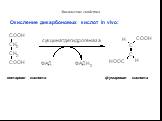 Окисление дикарбоновых кислот in vivo: янтарная кислота фумаровая кислота