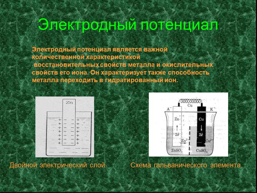 Электрохимический и электродный потенциал