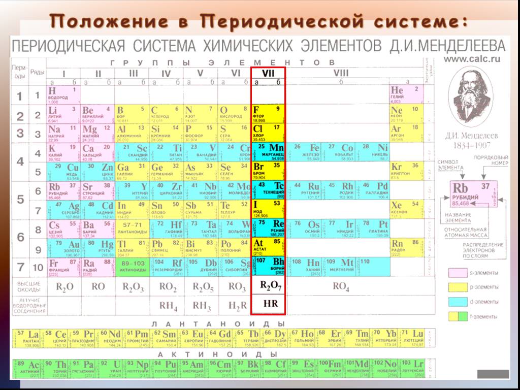 В какой группе находится. Периодическая таблица Менделеева галогены. Галогены химия положение в таблице Менделеева. Положение галогенов в периодической системе Менделеева. Галогены химические элементы таблица.