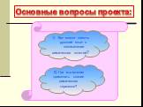 Основные вопросы проекта: Как может помочь русский язык в запоминании химических понятий? 2) Где мы можем применить знания химических терминов?