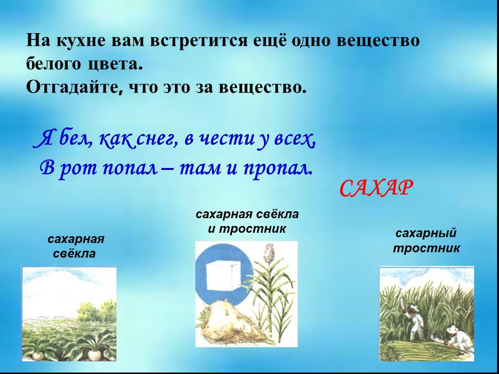 Разнообразие веществ 3. Загадки на тему разнообразие веществ. Рассказ о разнообразии веществ. Разнообразие веществ презентация 3 класс окружающий мир Плешаков. План на тему разнообразие веществ в природе.