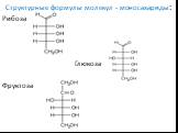 Структурные формулы молекул - моносахариды: Рибоза Глюкоза Фруктоза