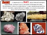 Галит — поваренная соль (NaCl) , единственный минерал, ежедневный прием которого жизненно необходим человеку. Объективную опасность представляют только окрашенные агрегаты галита - примеси, окрашивающие пищевую соль в различные цвета, могут быть ядовитыми и несъедобными.