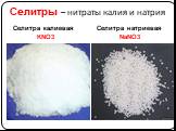 Cелитры – нитраты калия и натрия. Селитра калиевая KNO3. Селитра натриевая NaNO3