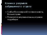 Клиника разрывов забрюшинного отдела. Слабые боли в верхней половине живота, больше справа Появляется напряжение мышц в правом подреберье