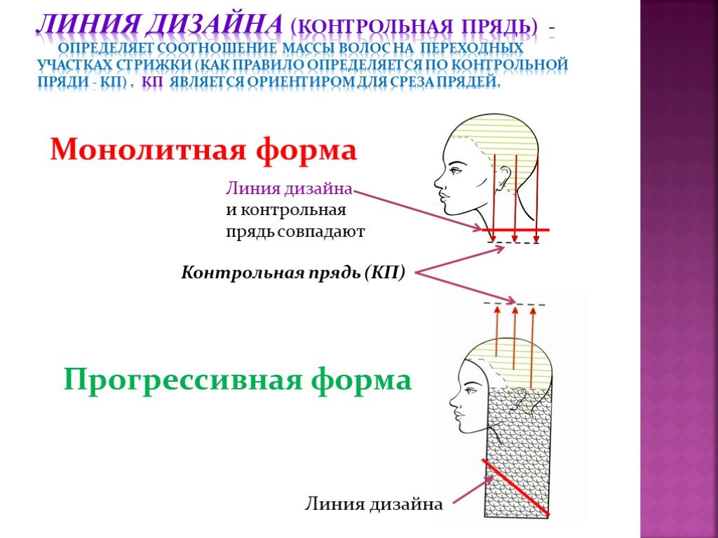 Контрольная линия. Контрольная прядь. Фиксированная контрольная прядь. Контрольная прядь линии стрижки. Подвижная контрольная прядь.