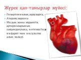 Гипертониялық ауруларға, Атерокслерозға Мидың және жүректің артерияларының зақымдануына, нәтижесінде инфаркт мен инсультке алып келеді. Жүрек қан-тамырлар жүйесі: