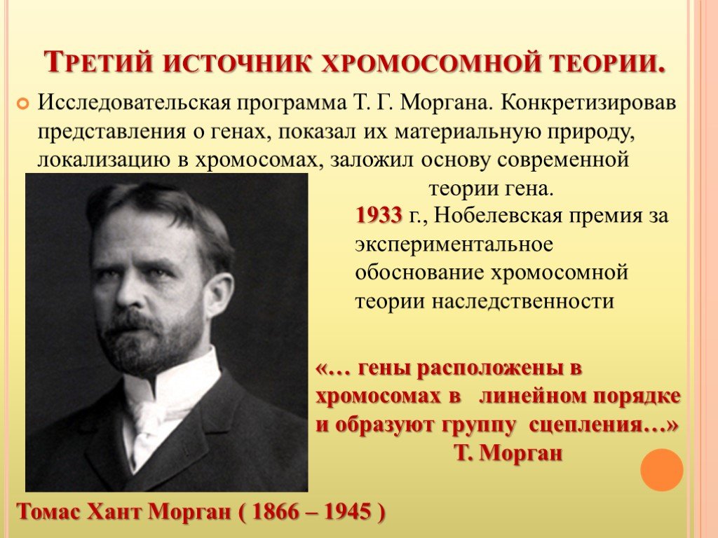 Открытие хромосомной теории. Хромосомная теория наследственности т Моргана. Хромосомная теория Томаса Моргана.