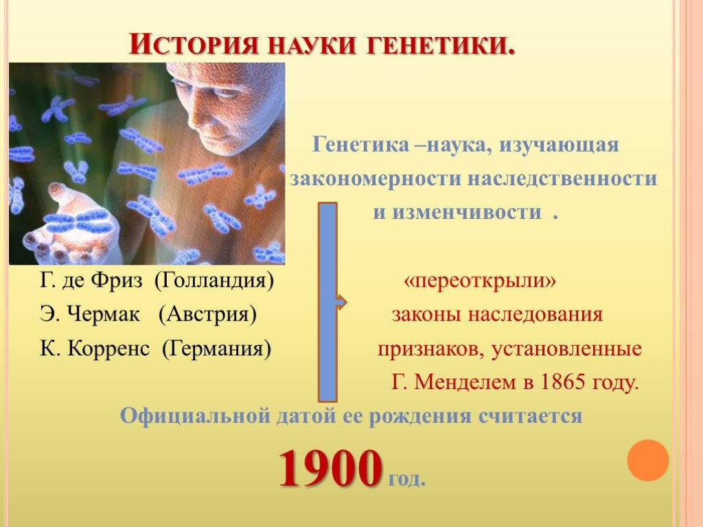 Человек презентация 9 класс. Генетика презентация. Генетика это наука о. Для презентации для генетики. История науки генетики.