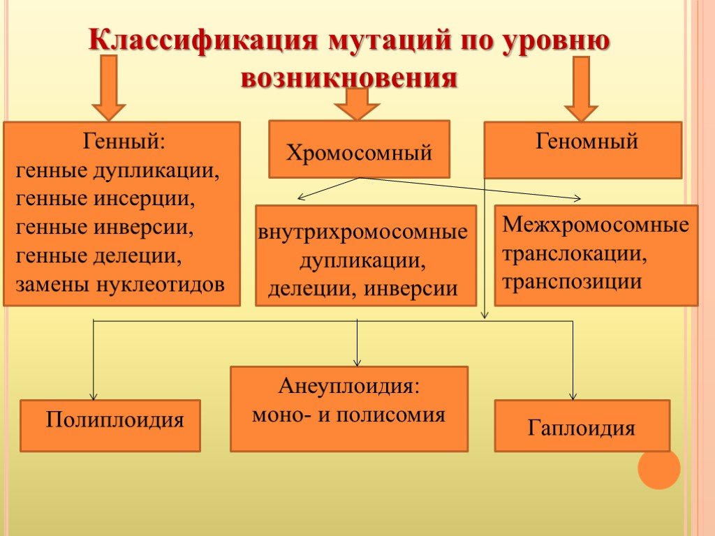 Какая мутация изображена на рисунке хромосомная генная геномная