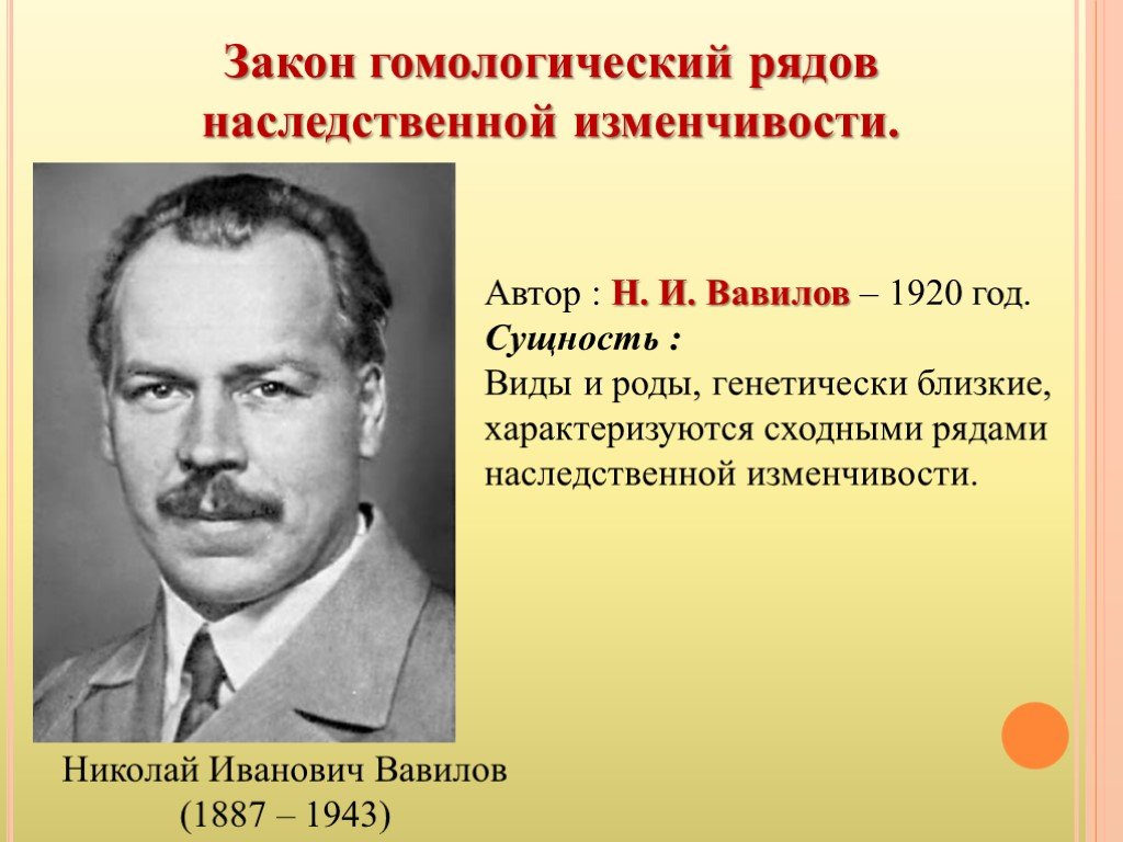 Закон гомологических рядов наследственной изменчивости. Николай Вавилов 1920. Николай Иванович Вавилов (1887-1943). Закон Вавилова о гомологических рядах наследственной изменчивости. Н И Вавилов сформулировал закон.