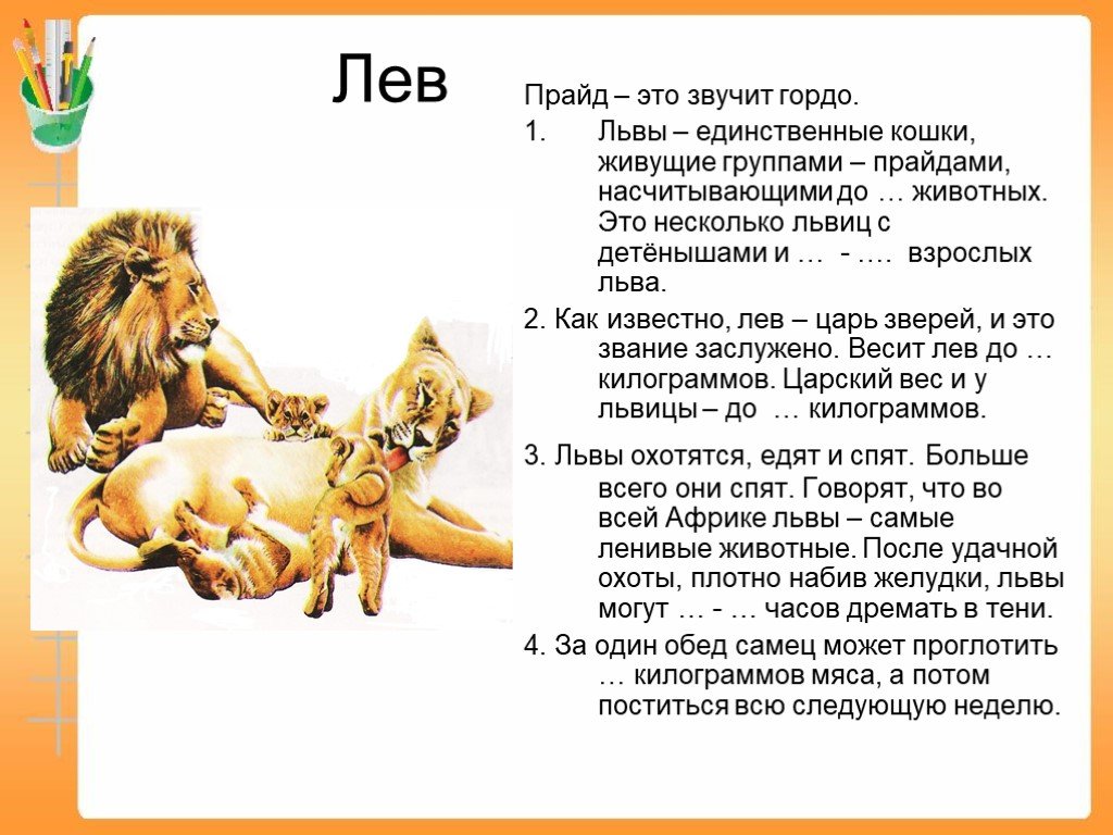 Информация про львов. Описать Льва. Рассказать о Льве. Рассказ про Льва. Лев картинки с описанием.
