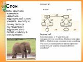 Слон. Самое крупное наземное животное – африканский слон. Узнайте высоту и длину тела (в сантиметрах) африканского слона и массу в килограммах. Задание №1. Высота Длина. Задание №2. Слониха весит в 10 раз больше новорожденного слонёнка. Вместе они весят 6600 кг. Найдите вес слонихи и вес слонёнка. Н