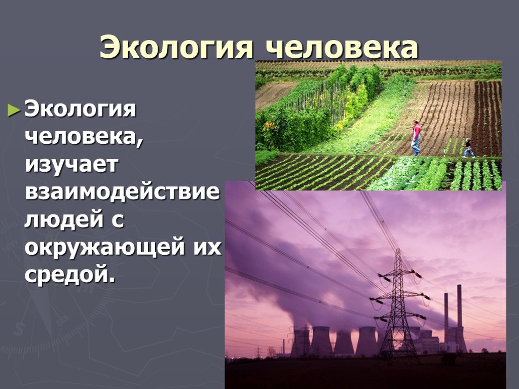 Human ecology. Экология человека. Экология человека презентация. Что изучает экология. Человек и окружающая среда презентация.