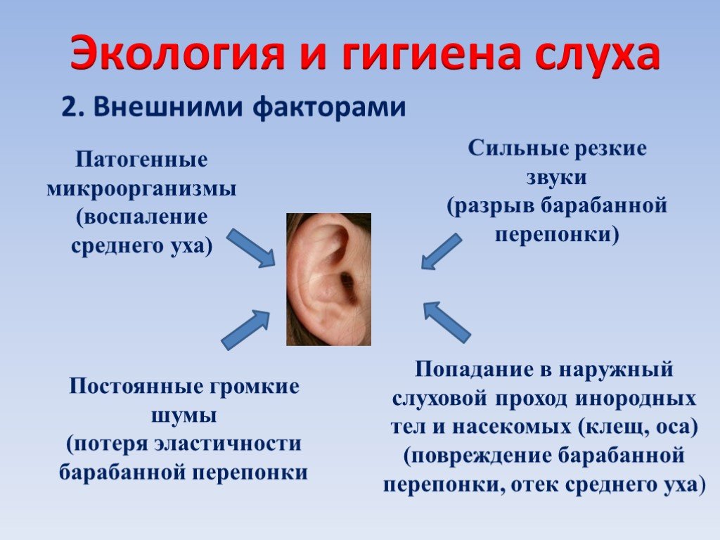 Резкий звук в ухе. Гигиена слуха. Памятка гигиена ушей. Памятку по гигиене органа слуха. Экология и гигиена слуха.
