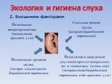 2. Внешними факторами. Патогенные микроорганизмы (воспаление среднего уха). Сильные резкие звуки (разрыв барабанной перепонки). Попадание в наружный слуховой проход инородных тел и насекомых (клещ, оса) (повреждение барабанной перепонки, отек среднего уха). Постоянные громкие шумы (потеря эластичнос