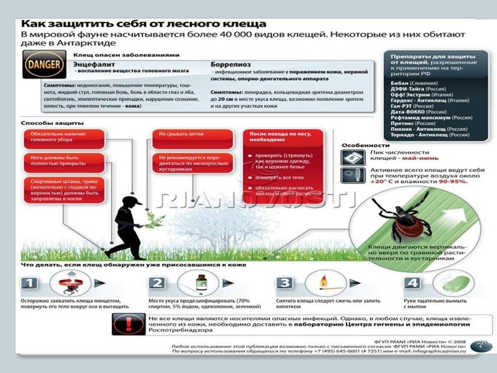 Презентация по клещам