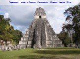 Пирамида майя в Тикале. Гватемала. Высота более 70 м.