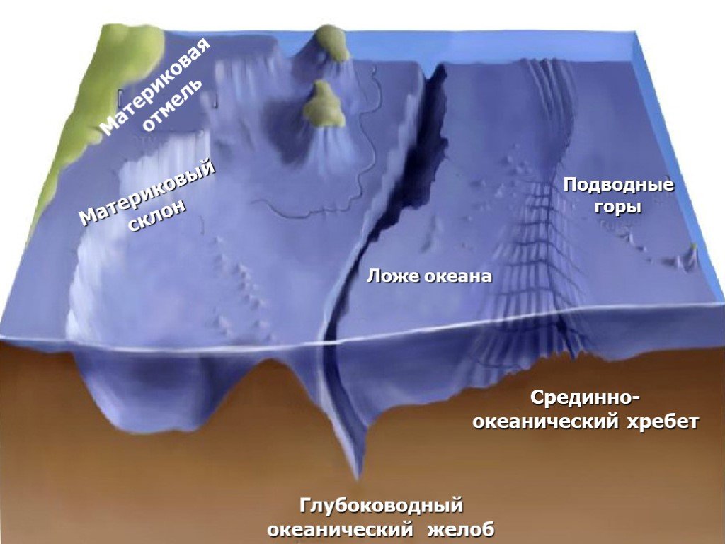 Рельеф поверхности океана. Срединно-Океанические хребты дна мирового океана. Строение рельефа дна мирового океана. Переходная зона рельефа дна мирового океана. Формы рельефа суши и дна океана.