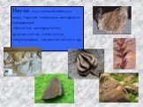 Науки, изучающие земную кору горные породы и минералы называются: геология, минералогия, кристаллогия, литология, петрография, палеонтология и др.
