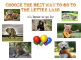 Choose the best way to go to the Letter Land. It’s better to go by