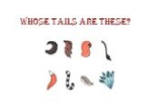 Whose tails are these?